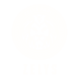 Zely Store